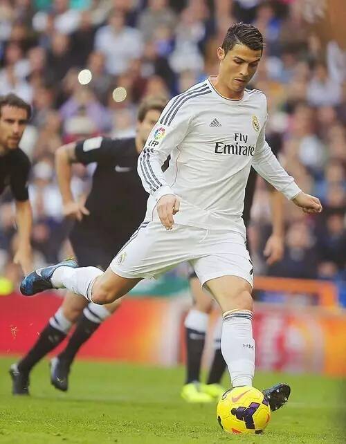 重要保障 重要保障