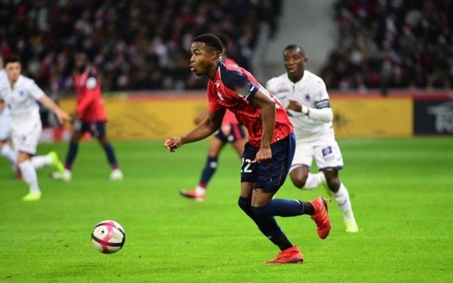 反馈系统将 反馈系统将