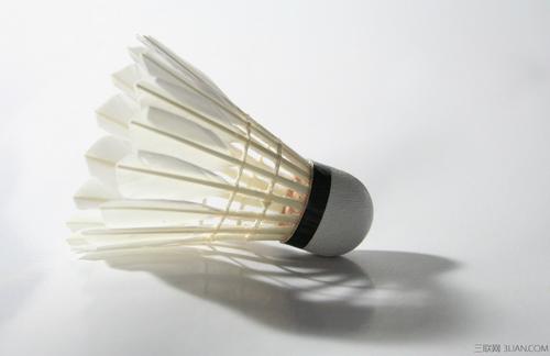 活动与福利 活动与福利