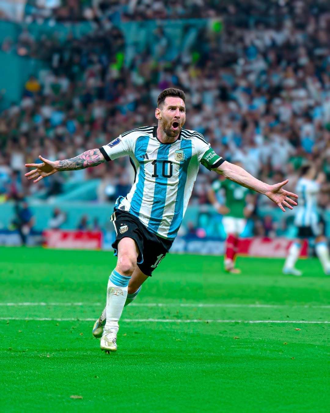 诱发绿军收 诱发绿军收